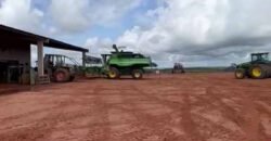 Excelente fazenda Dupla Aptidão à venda 4.356 hectares Pista de pouso e Logística pronta | Gal. Carneiro/ MT