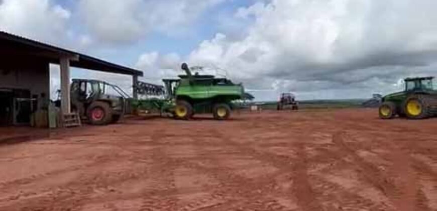 Excelente fazenda Dupla Aptidão à venda 4.356 hectares Pista de pouso e Logística pronta | Gal. Carneiro/ MT