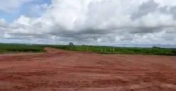 Excelente fazenda Dupla Aptidão à venda 4.356 hectares Pista de pouso e Logística pronta | Gal. Carneiro/ MT