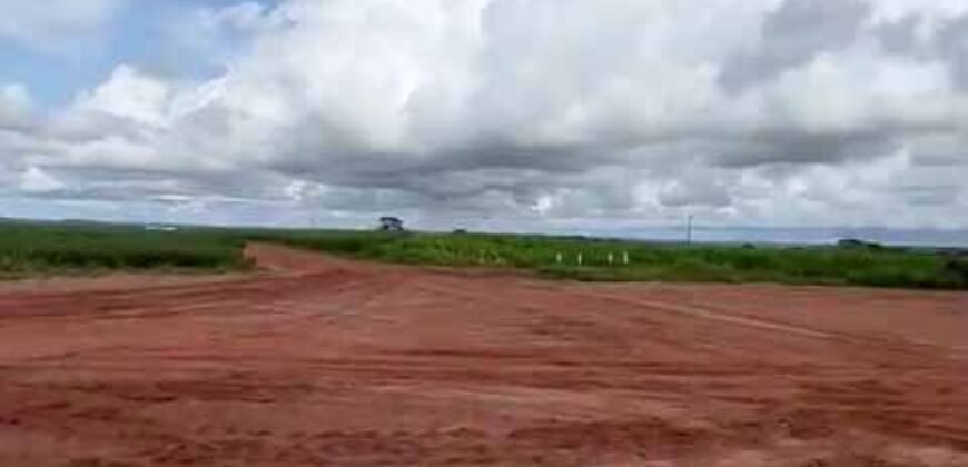 Excelente fazenda Dupla Aptidão à venda 4.356 hectares Pista de pouso e Logística pronta | Gal. Carneiro/ MT