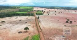 Excelente fazenda Dupla Aptidão à venda 4.356 hectares Pista de pouso e Logística pronta | Gal. Carneiro/ MT