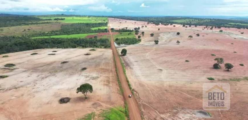 Excelente fazenda Dupla Aptidão à venda 4.356 hectares Pista de pouso e Logística pronta | Gal. Carneiro/ MT