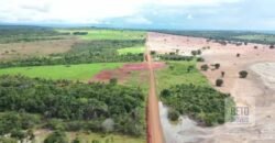Excelente fazenda Dupla Aptidão à venda 4.356 hectares Pista de pouso e Logística pronta | Gal. Carneiro/ MT