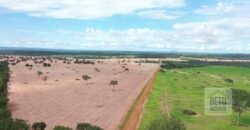 Excelente fazenda Dupla Aptidão à venda 4.356 hectares Pista de pouso e Logística pronta | Gal. Carneiro/ MT