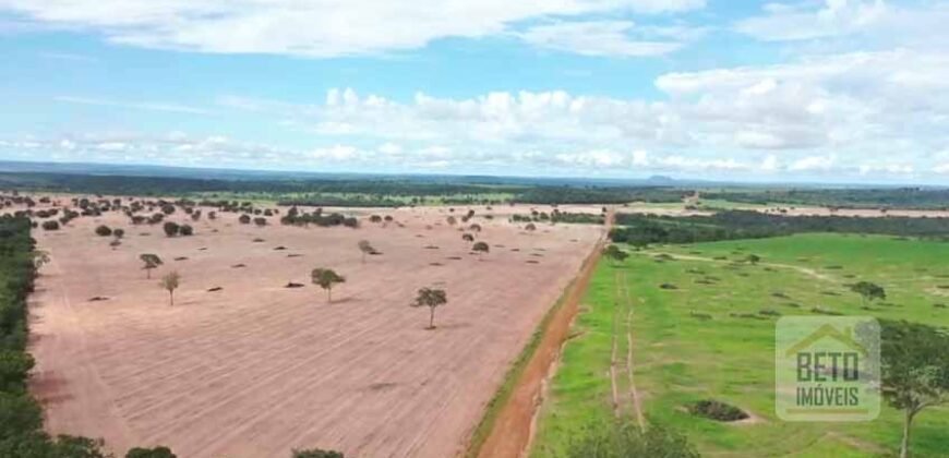 Excelente fazenda Dupla Aptidão à venda 4.356 hectares Pista de pouso e Logística pronta | Gal. Carneiro/ MT