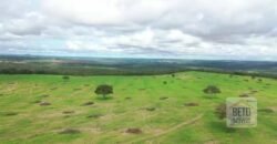 Excelente fazenda Dupla Aptidão à venda 4.356 hectares Pista de pouso e Logística pronta | Gal. Carneiro/ MT