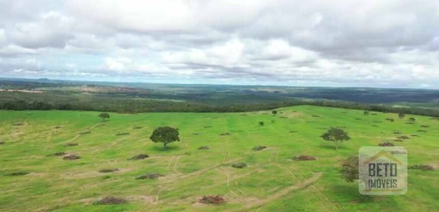 Excelente fazenda Dupla Aptidão à venda 4.356 hectares Pista de pouso e Logística pronta | Gal. Carneiro/ MT