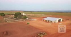 Excelente fazenda Dupla Aptidão à venda 4.356 hectares Pista de pouso e Logística pronta | Gal. Carneiro/ MT