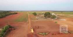 Excelente fazenda Dupla Aptidão à venda 4.356 hectares Pista de pouso e Logística pronta | Gal. Carneiro/ MT
