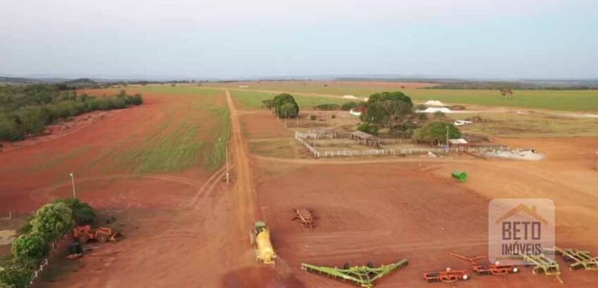 Excelente fazenda Dupla Aptidão à venda 4.356 hectares Pista de pouso e Logística pronta | Gal. Carneiro/ MT