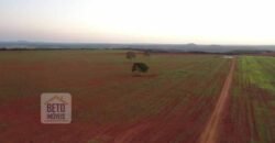 Excelente fazenda Dupla Aptidão à venda 4.356 hectares Pista de pouso e Logística pronta | Gal. Carneiro/ MT