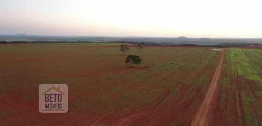 Excelente fazenda Dupla Aptidão à venda 4.356 hectares Pista de pouso e Logística pronta | Gal. Carneiro/ MT