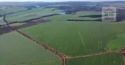 Fazenda à Venda 19.300.000 has Cachoeiras e nascestes Pista de heliporto | São João D’Aliança/ GO