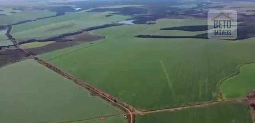 Fazenda à Venda 19.300.000 has Cachoeiras e nascestes Pista de heliporto | São João D’Aliança/ GO