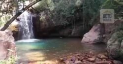 Fazenda à Venda 19.300.000 has Cachoeiras e nascestes Pista de heliporto | São João D’Aliança/ GO