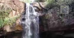 Fazenda à Venda 19.300.000 has Cachoeiras e nascestes Pista de heliporto | São João D’Aliança/ GO