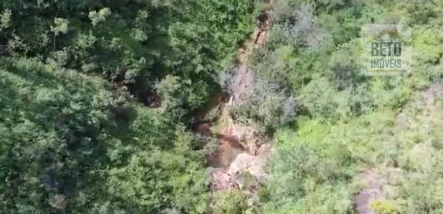 Fazenda à Venda 19.300.000 has Cachoeiras e nascestes Pista de heliporto | São João D’Aliança/ GO