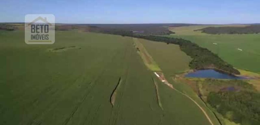 Fazenda à Venda 19.300.000 has Cachoeiras e nascestes Pista de heliporto | São João D’Aliança/ GO