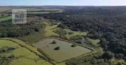 Fazenda à Venda 19.300.000 has Cachoeiras e nascestes Pista de heliporto | São João D’Aliança/ GO
