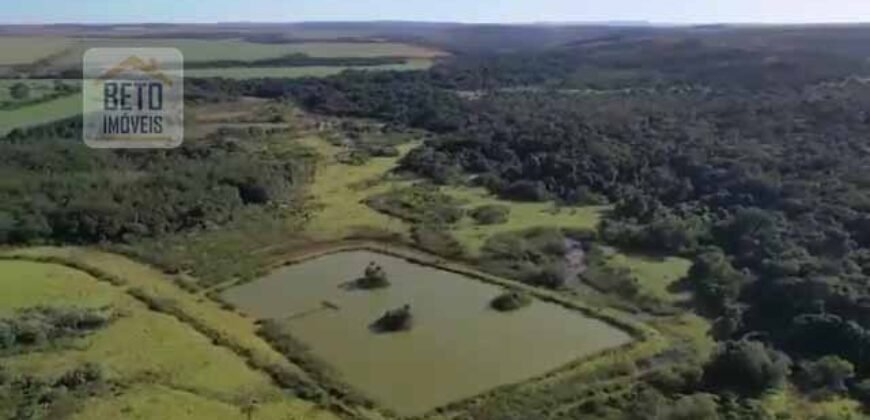 Fazenda à Venda 19.300.000 has Cachoeiras e nascestes Pista de heliporto | São João D’Aliança/ GO