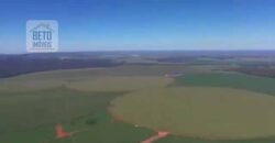 Fazenda à Venda 19.300.000 has Cachoeiras e nascestes Pista de heliporto | São João D’Aliança/ GO