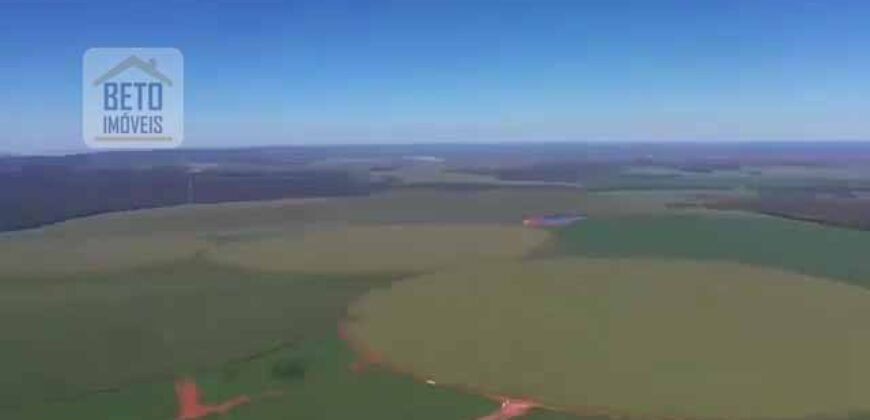 Fazenda à Venda 19.300.000 has Cachoeiras e nascestes Pista de heliporto | São João D’Aliança/ GO