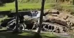 Belíssima Fazenda Centenária à venda, Estilo colonial com 72 ha Paraíso Ecológico | Carmo/ RJ