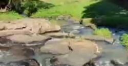 Belíssima Fazenda Centenária à venda, Estilo colonial com 72 ha Paraíso Ecológico | Carmo/ RJ