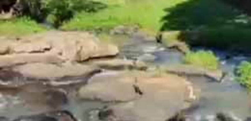 Belíssima Fazenda Centenária à venda, Estilo colonial com 72 ha Paraíso Ecológico | Carmo/ RJ