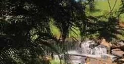 Belíssima Fazenda Centenária à venda, Estilo colonial com 72 ha Paraíso Ecológico | Carmo/ RJ