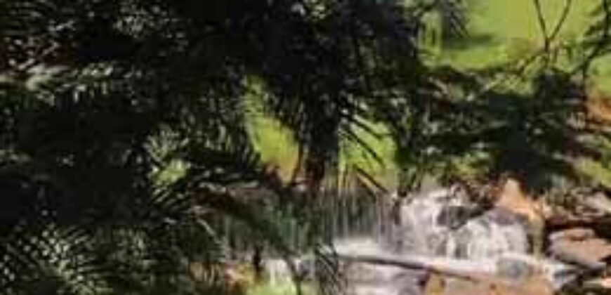 Belíssima Fazenda Centenária à venda, Estilo colonial com 72 ha Paraíso Ecológico | Carmo/ RJ