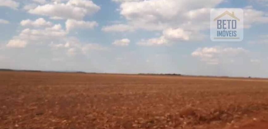 Ótima Fazenda Lavoura e Pecuária à venda Excelente estrutura e Pista de pouso | Confresa/ MT