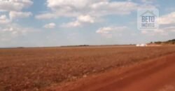 Ótima Fazenda Lavoura e Pecuária à venda Excelente estrutura e Pista de pouso | Confresa/ MT