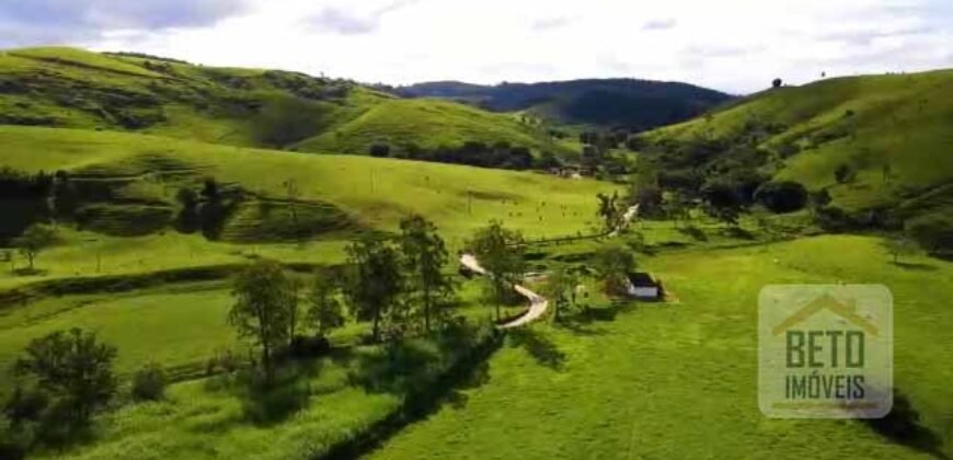 Fazenda Excepcional Estrutura Completa e Recursos Naturais incríveis 1067 alqueires | Santa Branca/ SP Fazenda Excepcional Estrutura Completa e Recursos Naturais incríveis 1067 alqueires | Santa Branca/ SP