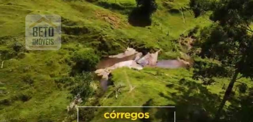 Fazenda Excepcional Estrutura Completa e Recursos Naturais incríveis 1067 alqueires | Santa Branca/ SP Fazenda Excepcional Estrutura Completa e Recursos Naturais incríveis 1067 alqueires | Santa Branca/ SP