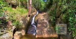 Fazenda Excepcional Estrutura Completa e Recursos Naturais incríveis 1067 alqueires | Santa Branca/ SP Fazenda Excepcional Estrutura Completa e Recursos Naturais incríveis 1067 alqueires | Santa Branca/ SP