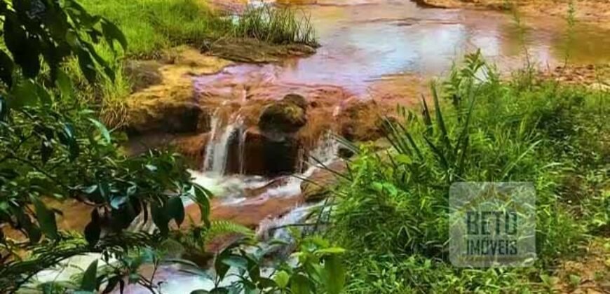 Fazenda Excepcional Estrutura Completa e Recursos Naturais incríveis 1067 alqueires | Santa Branca/ SP Fazenda Excepcional Estrutura Completa e Recursos Naturais incríveis 1067 alqueires | Santa Branca/ SP