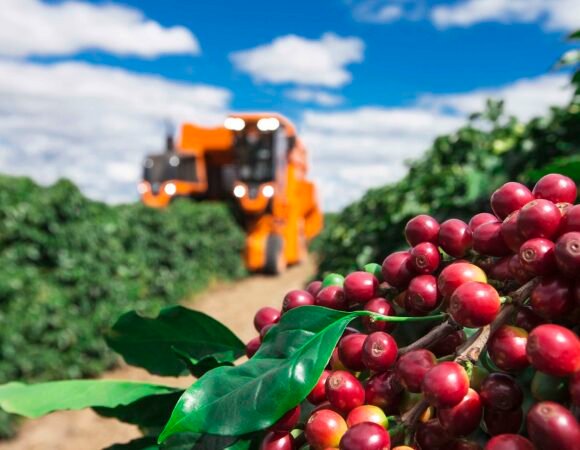 Região Sudeste Região Sudeste