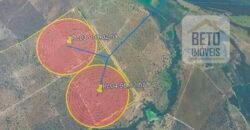 Ótima Fazenda 4.800 has com Toda Logística e infraestrutura na Área Mineira da Sudene | Buritizeiro/ MG