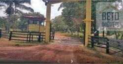 Blocos de Fazenda à Venda 325 mil has Estrutura Completa e Pista de pouso | Ilha de Marajó/ PA Blocos de Fazenda à Venda 325 mil has Estrutura Completa e Pista de pouso | Ilha de Marajó/ PA