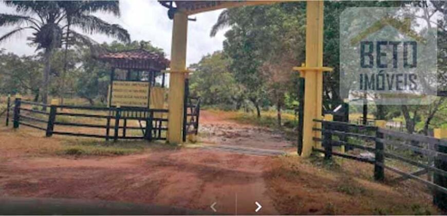Blocos de Fazenda à Venda 325 mil has Estrutura Completa e Pista de pouso | Ilha de Marajó/ PA Blocos de Fazenda à Venda 325 mil has Estrutura Completa e Pista de pouso | Ilha de Marajó/ PA