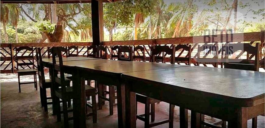 Blocos de Fazenda à Venda 325 mil has Estrutura Completa e Pista de pouso | Ilha de Marajó/ PA Blocos de Fazenda à Venda 325 mil has Estrutura Completa e Pista de pouso | Ilha de Marajó/ PA