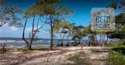Blocos de Fazenda à Venda 325 mil has Estrutura Completa e Pista de pouso | Ilha de Marajó/ PA Blocos de Fazenda à Venda 325 mil has Estrutura Completa e Pista de pouso | Ilha de Marajó/ PA
