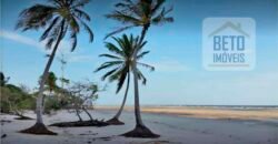 Blocos de Fazenda à Venda 325 mil has Estrutura Completa e Pista de pouso | Ilha de Marajó/ PA Blocos de Fazenda à Venda 325 mil has Estrutura Completa e Pista de pouso | Ilha de Marajó/ PA