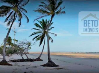 Blocos de Fazenda à Venda 325 mil has Estrutura Completa e Pista de pouso | Ilha de Marajó/ PA