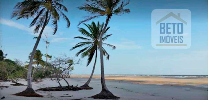 Blocos de Fazenda à Venda 325 mil has Estrutura Completa e Pista de pouso | Ilha de Marajó/ PA Blocos de Fazenda à Venda 325 mil has Estrutura Completa e Pista de pouso | Ilha de Marajó/ PA