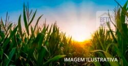 Oportunidade Única: Fazenda 2.392 hectares com Poço artesiano, cisterna e córregoem | Bocaiúvas/ MG