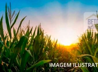 Oportunidade Única: Fazenda 2.392 hectares com Poço artesiano, cisterna e córregoem | Bocaiúvas/ MG Oportunidade Única: Fazenda 2.392 hectares com Poço artesiano, cisterna e córregoem | Bocaiúvas/ MG