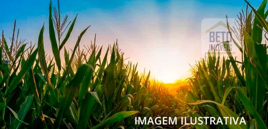 Oportunidade Única: Fazenda 2.392 hectares com Poço artesiano, cisterna e córregoem | Bocaiúvas/ MG