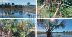 Ótima Fazenda 4.800 has com Toda Logística e infraestrutura na Área Mineira da Sudene | Buritizeiro/ MG